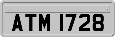 ATM1728