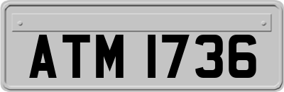 ATM1736