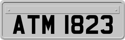 ATM1823