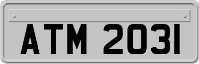 ATM2031