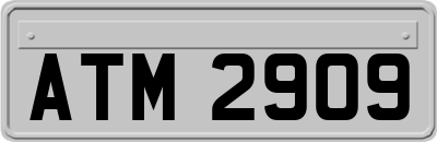 ATM2909