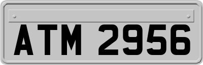 ATM2956