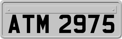 ATM2975