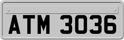 ATM3036
