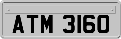ATM3160