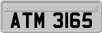 ATM3165