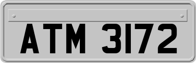 ATM3172