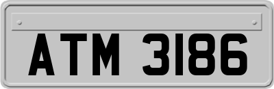ATM3186