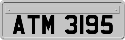 ATM3195