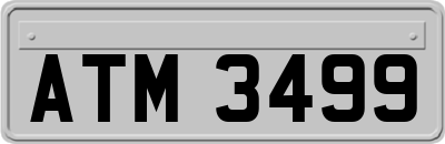 ATM3499