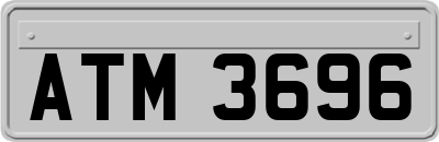 ATM3696