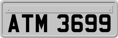 ATM3699