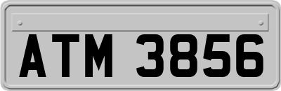 ATM3856