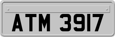 ATM3917