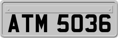ATM5036