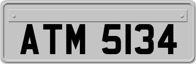 ATM5134