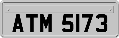 ATM5173