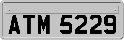 ATM5229