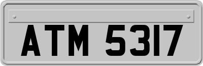 ATM5317
