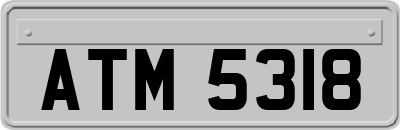 ATM5318