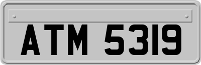 ATM5319