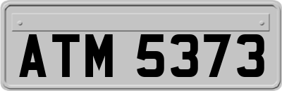 ATM5373