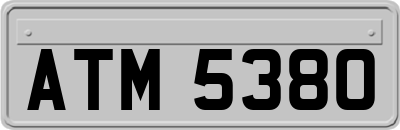 ATM5380