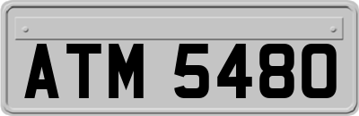 ATM5480