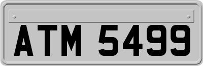 ATM5499