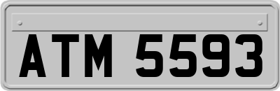 ATM5593