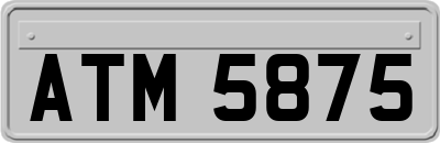 ATM5875