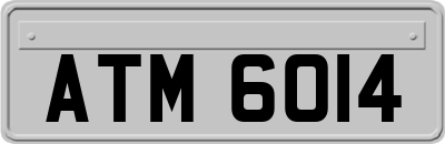 ATM6014