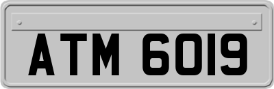 ATM6019