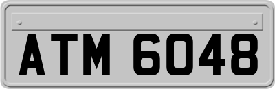 ATM6048