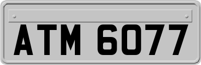ATM6077