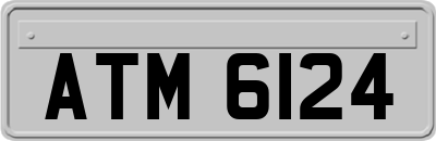 ATM6124