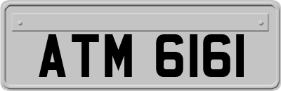 ATM6161