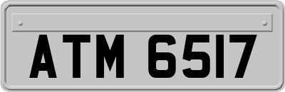 ATM6517