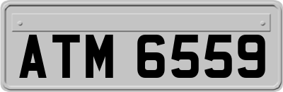 ATM6559