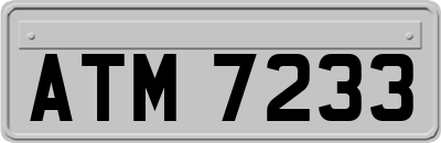 ATM7233