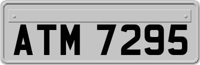 ATM7295