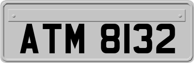 ATM8132