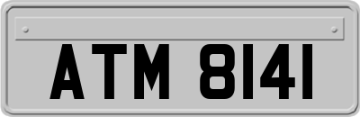 ATM8141