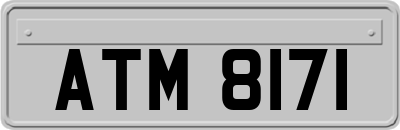 ATM8171