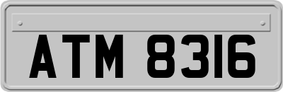 ATM8316