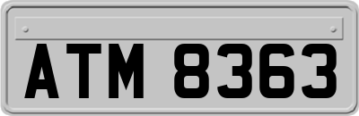 ATM8363