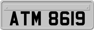 ATM8619