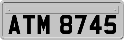ATM8745