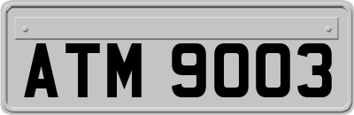 ATM9003