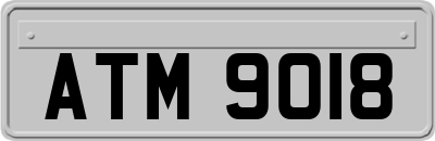 ATM9018